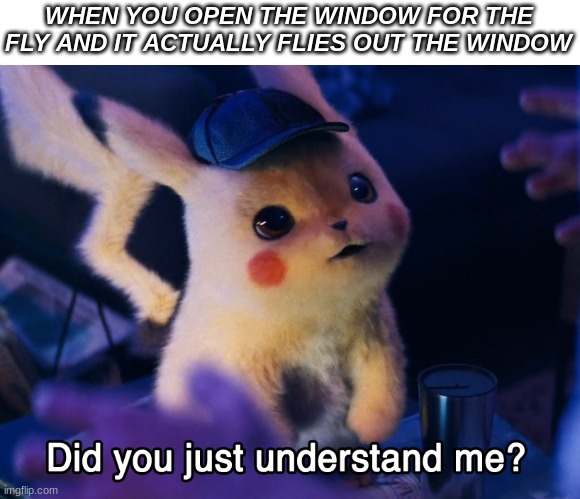 Did u understand me? | WHEN YOU OPEN THE WINDOW FOR THE FLY AND IT ACTUALLY FLIES OUT THE WINDOW | image tagged in did u understand me | made w/ Imgflip meme maker