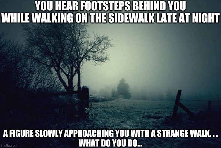 A brand new introduction on how I plan to reveal one of my OC's by the name of B- | YOU HEAR FOOTSTEPS BEHIND YOU WHILE WALKING ON THE SIDEWALK LATE AT NIGHT; A FIGURE SLOWLY APPROACHING YOU WITH A STRANGE WALK. . .
WHAT DO YOU DO... | image tagged in foggy day | made w/ Imgflip meme maker