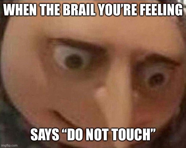 Idk | WHEN THE BRAIL YOU’RE FEELING; SAYS “DO NOT TOUCH” | image tagged in gru meme | made w/ Imgflip meme maker