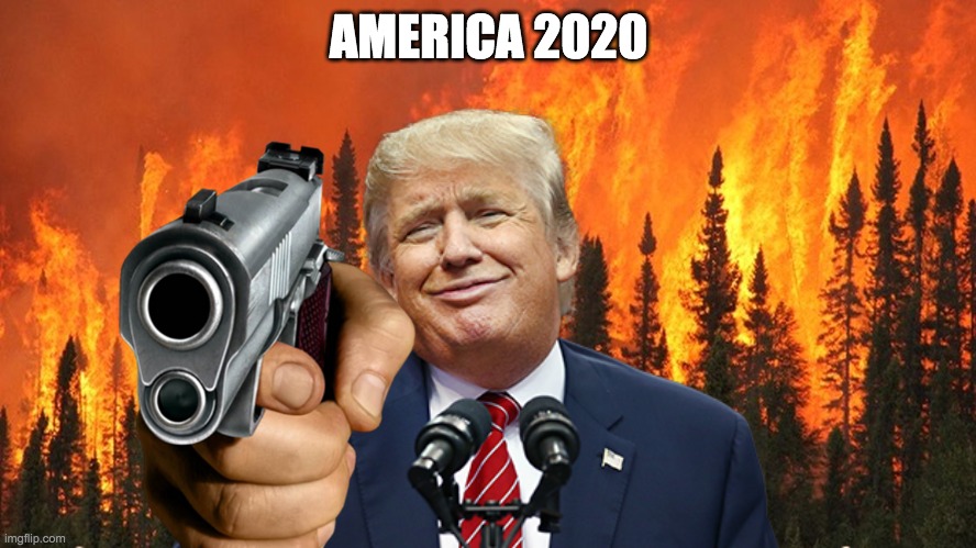 america 2020 | AMERICA 2020 | image tagged in funny | made w/ Imgflip meme maker