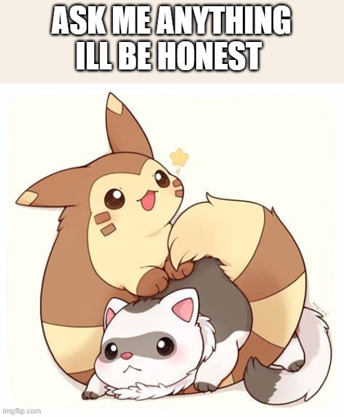 hehe | ASK ME ANYTHING ILL BE HONEST | image tagged in pok mon ferret tehe | made w/ Imgflip meme maker