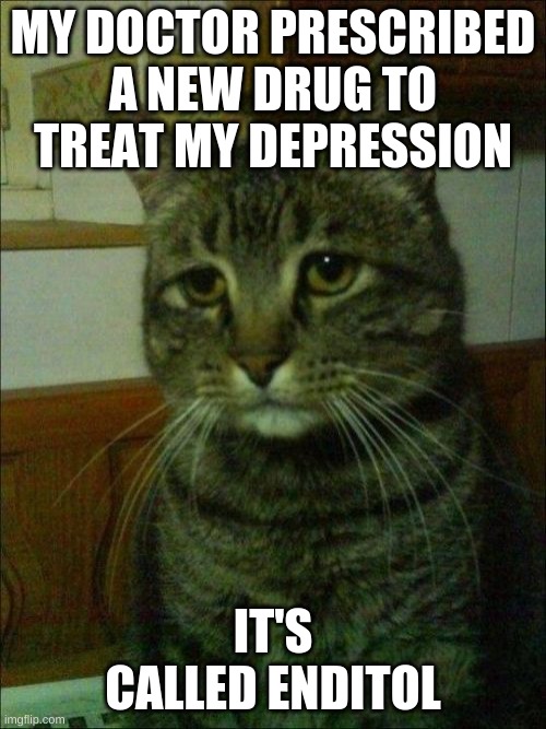 Depressed Cat | MY DOCTOR PRESCRIBED A NEW DRUG TO TREAT MY DEPRESSION; IT'S CALLED ENDITOL | image tagged in memes,depressed cat | made w/ Imgflip meme maker
