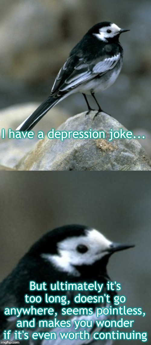 Depression jokes | I have a depression joke... But ultimately it's too long, doesn't go anywhere, seems pointless, and makes you wonder if it's even worth continuing | image tagged in clinically depressed pied wagtail | made w/ Imgflip meme maker