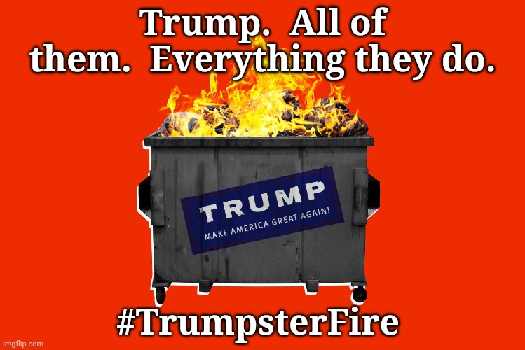 TrumpsterFire | Trump.  All of them.  Everything they do. #TrumpsterFire | image tagged in trump | made w/ Imgflip meme maker