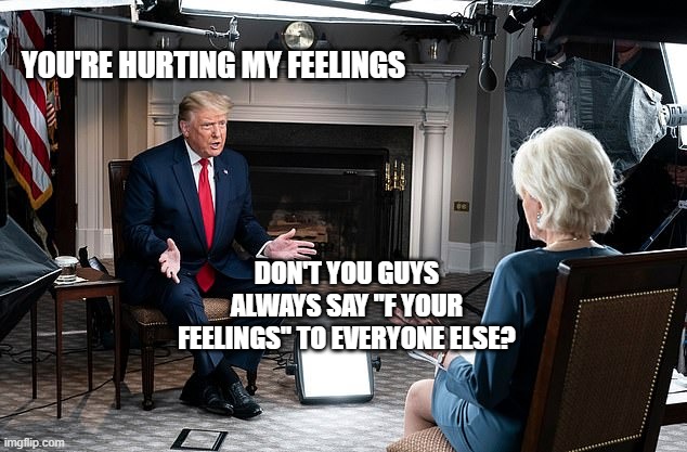 YOU'RE HURTING MY FEELINGS; DON'T YOU GUYS ALWAYS SAY "F YOUR FEELINGS" TO EVERYONE ELSE? | image tagged in trump | made w/ Imgflip meme maker