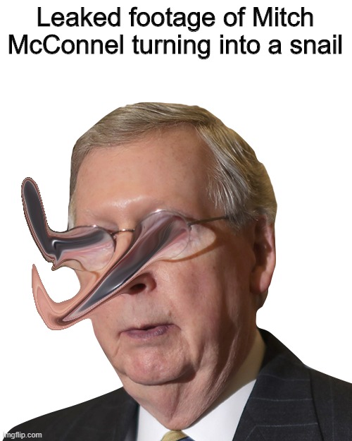 OH NO | Leaked footage of Mitch McConnel turning into a snail | image tagged in mitch mcconnell,biden | made w/ Imgflip meme maker