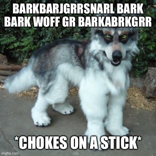 Wolf chokes on stick | BARKBARJGRRSNARL BARK BARK WOFF GR BARKABRKGRR; *CHOKES ON A STICK* | image tagged in furries,furry,wolf,quadsuit,stick | made w/ Imgflip meme maker