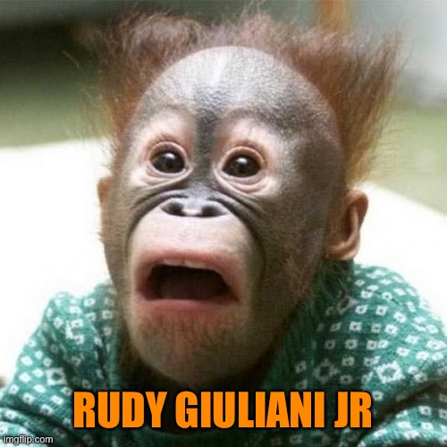 Shocked Monkey | RUDY GIULIANI JR | image tagged in shocked monkey | made w/ Imgflip meme maker