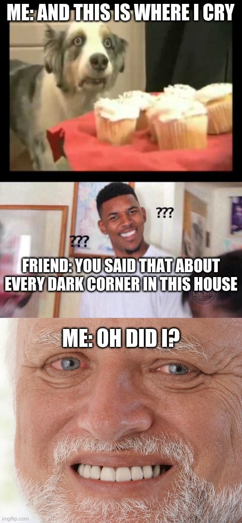 ME: AND THIS IS WHERE I CRY; FRIEND: YOU SAID THAT ABOUT EVERY DARK CORNER IN THIS HOUSE; ME: OH DID I? | image tagged in dog cake suffering,black guy confused,hide the pain harold | made w/ Imgflip meme maker