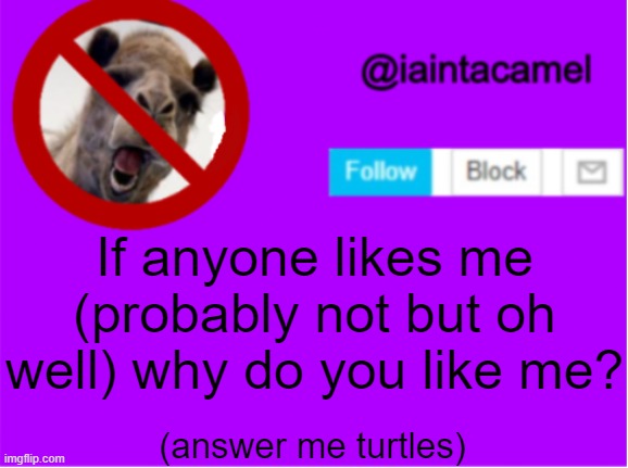 If anyone likes me (probably not but oh well) why do you like me? (answer me turtles) | image tagged in iaintacamel | made w/ Imgflip meme maker