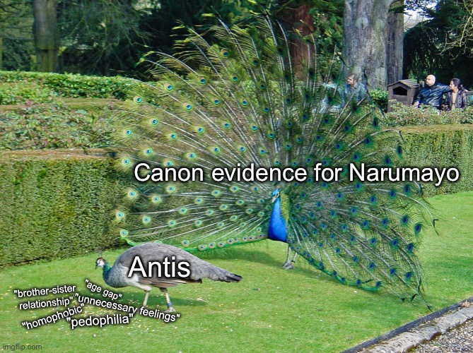 Antis be like | Canon evidence for Narumayo; Antis; "age gap"; "brother-sister relationship"; "homophobic"; "unnecessary feelings"; "pedophilia" | image tagged in ace attorney,shipping | made w/ Imgflip meme maker