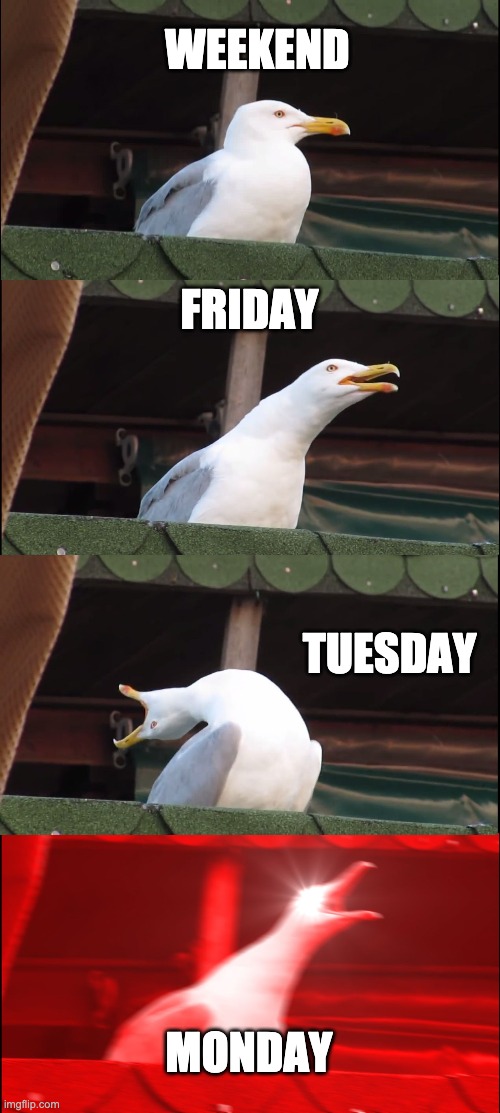 Days of the week | WEEKEND; FRIDAY; TUESDAY; MONDAY | image tagged in memes,inhaling seagull | made w/ Imgflip meme maker