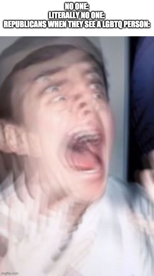 SOOOO SCARY | NO ONE:
LITERALLY NO ONE:
REPUBLICANS WHEN THEY SEE A LGBTQ PERSON: | image tagged in freaking out | made w/ Imgflip meme maker