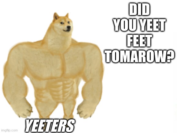 the most random meme I have ever made | DID YOU YEET FEET TOMAROW? YEETERS | image tagged in did you know mussel doge | made w/ Imgflip meme maker