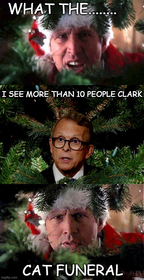 Cat Funeral | WHAT THE........ I SEE MORE THAN 10 PEOPLE CLARK; CAT FUNERAL | image tagged in dewine,covid,cat,funeral,christmas vacation | made w/ Imgflip meme maker