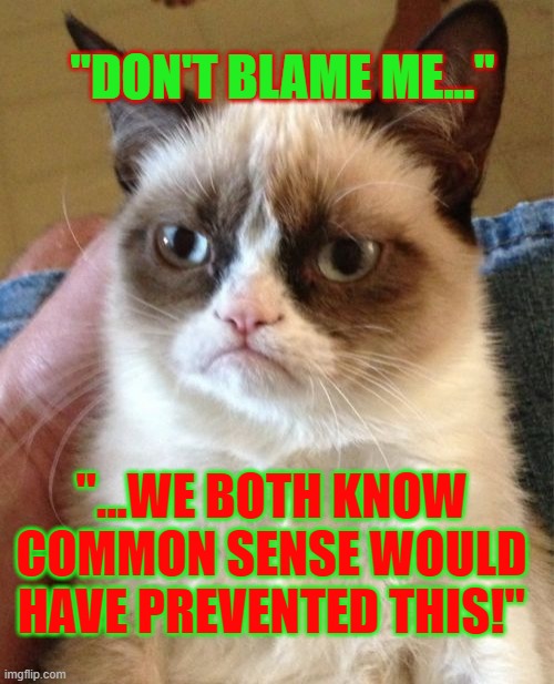 Not my Fault | "DON'T BLAME ME..."; "...WE BOTH KNOW COMMON SENSE WOULD HAVE PREVENTED THIS!" | image tagged in memes,grumpy cat,whos fault,christmas tree,disaster | made w/ Imgflip meme maker