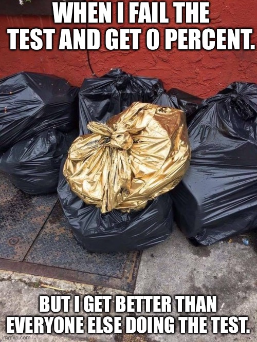 Golden Trash Bag | WHEN I FAIL THE TEST AND GET 0 PERCENT. BUT I GET BETTER THAN EVERYONE ELSE DOING THE TEST. | image tagged in golden trash bag | made w/ Imgflip meme maker