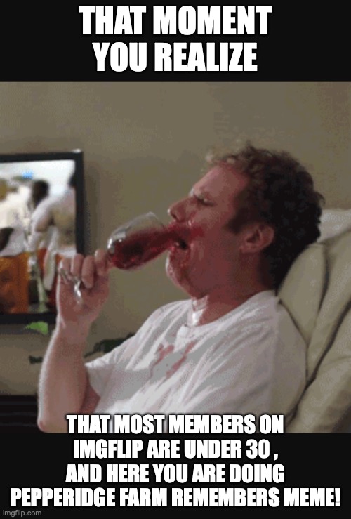 I am to old to be a member here | THAT MOMENT YOU REALIZE; THAT MOST MEMBERS ON IMGFLIP ARE UNDER 30 , AND HERE YOU ARE DOING PEPPERIDGE FARM REMEMBERS MEME! | image tagged in will ferrell wine | made w/ Imgflip meme maker