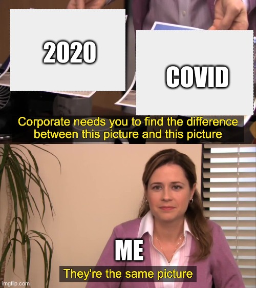 there the same picture | COVID; 2020; ME | image tagged in there the same picture | made w/ Imgflip meme maker