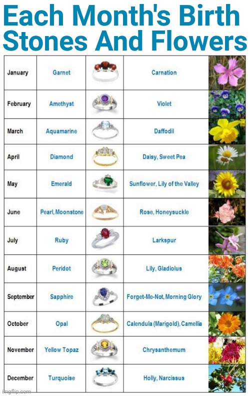 ♈♊♋♌♍♎♏♐♑♒♓ | Each Month's Birth; Stones And Flowers | image tagged in memes,zodiac signs,astrology,birth stones,zodiac,meme | made w/ Imgflip meme maker
