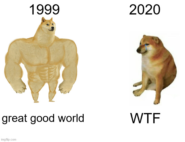 and 2021 | 1999; 2020; great good world; WTF | image tagged in memes,buff doge vs cheems | made w/ Imgflip meme maker