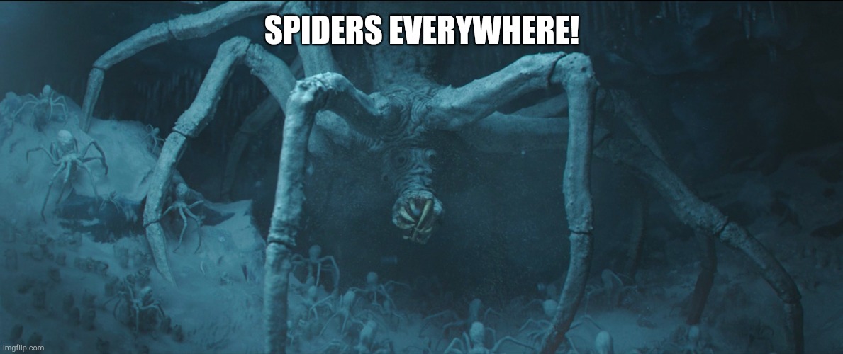 SPIDERS EVERYWHERE! | made w/ Imgflip meme maker
