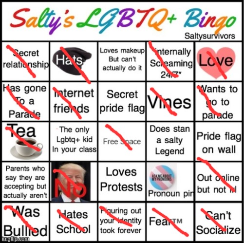 my bingo | image tagged in the pride bingo | made w/ Imgflip meme maker