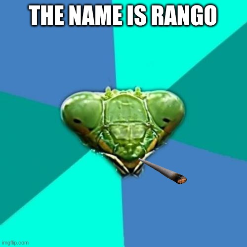 Crazy Girlfriend Praying Mantis Meme | THE NAME IS RANGO | image tagged in memes,crazy girlfriend praying mantis | made w/ Imgflip meme maker