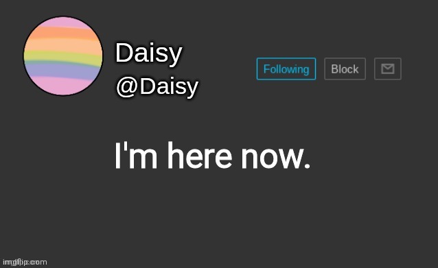 Now that im here | I'm here now. | image tagged in daisy's template | made w/ Imgflip meme maker