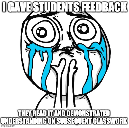 happy teacher | I GAVE STUDENTS FEEDBACK; THEY READ IT AND DEMONSTRATED UNDERSTANDING ON SUBSEQUENT CLASSWORK | image tagged in tears of joy,teacher,feedback,classwork,homework | made w/ Imgflip meme maker