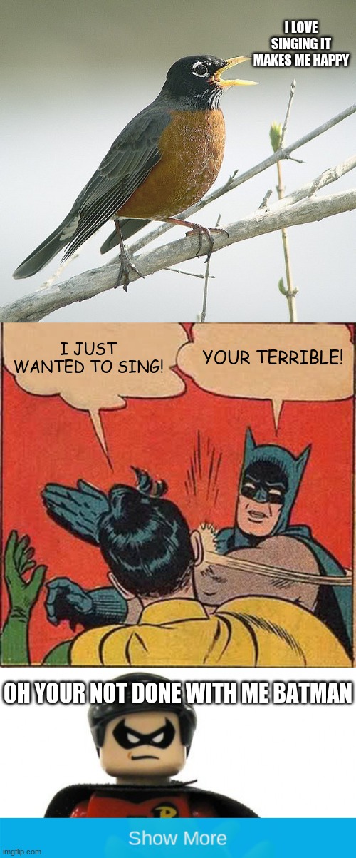 angry batman | I LOVE SINGING IT MAKES ME HAPPY; I JUST WANTED TO SING! YOUR TERRIBLE! OH YOUR NOT DONE WITH ME BATMAN | image tagged in memes,batman slapping robin,you have been trolled | made w/ Imgflip meme maker