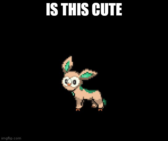 Rowceon | IS THIS CUTE | image tagged in rowceon | made w/ Imgflip meme maker