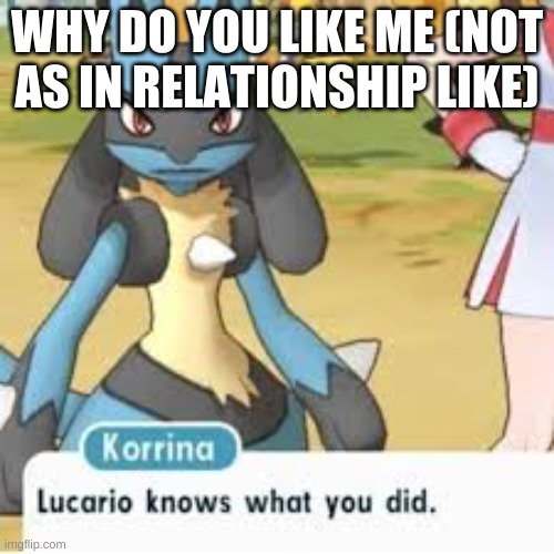 Lucario | WHY DO YOU LIKE ME (NOT AS IN RELATIONSHIP LIKE) | image tagged in lucario | made w/ Imgflip meme maker