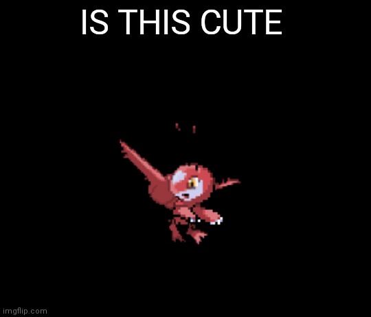 Latfree | IS THIS CUTE | image tagged in latfree | made w/ Imgflip meme maker