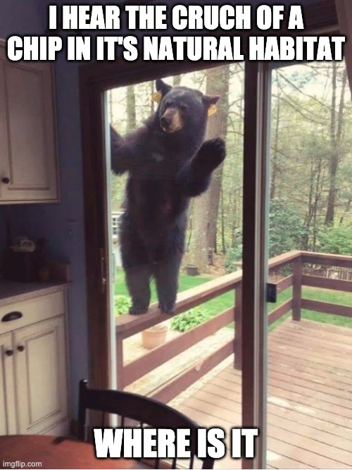 Bear looking in window | I HEAR THE CRUCH OF A CHIP IN IT'S NATURAL HABITAT; WHERE IS IT | image tagged in bear looking in window | made w/ Imgflip meme maker