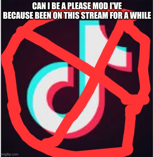 Can I be a mod please? | CAN I BE A PLEASE MOD I'VE BECAUSE BEEN ON THIS STREAM FOR A WHILE | image tagged in tik tok | made w/ Imgflip meme maker