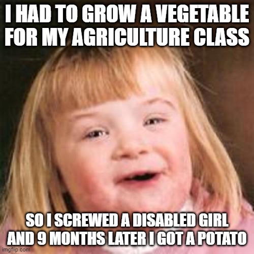 Project | I HAD TO GROW A VEGETABLE FOR MY AGRICULTURE CLASS; SO I SCREWED A DISABLED GIRL AND 9 MONTHS LATER I GOT A POTATO | image tagged in retard girl | made w/ Imgflip meme maker