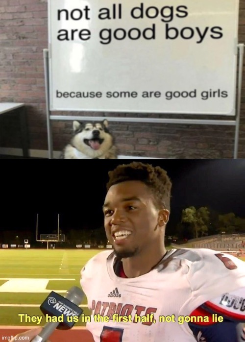 All dogs are good, change my mind | image tagged in they had us in the first half,true,memes | made w/ Imgflip meme maker