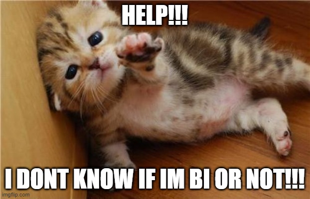 (details in comments) | HELP!!! I DONT KNOW IF IM BI OR NOT!!! | image tagged in help me kitten | made w/ Imgflip meme maker