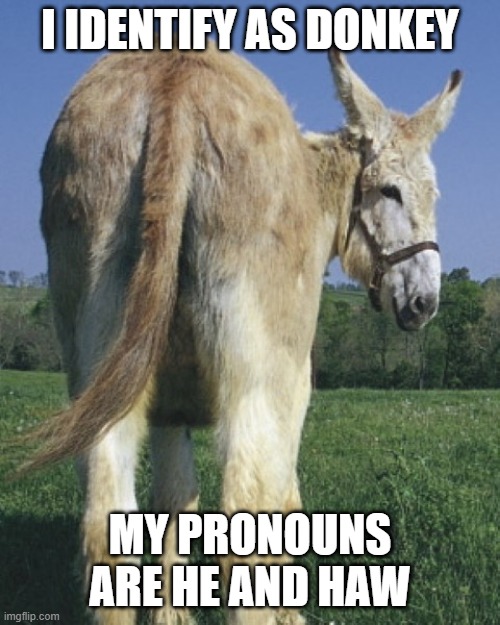 One of Those Genders | I IDENTIFY AS DONKEY; MY PRONOUNS ARE HE AND HAW | image tagged in donkey ass | made w/ Imgflip meme maker