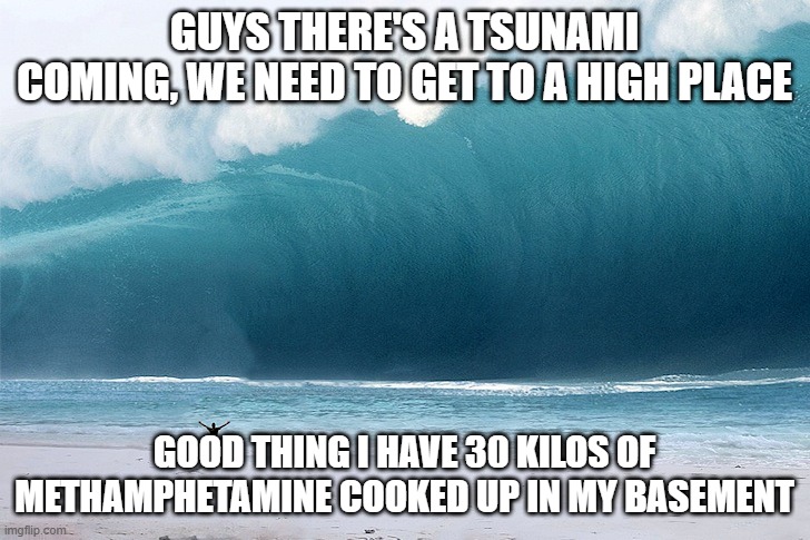 Higher Ground | GUYS THERE'S A TSUNAMI COMING, WE NEED TO GET TO A HIGH PLACE; GOOD THING I HAVE 30 KILOS OF METHAMPHETAMINE COOKED UP IN MY BASEMENT | image tagged in tsunami | made w/ Imgflip meme maker