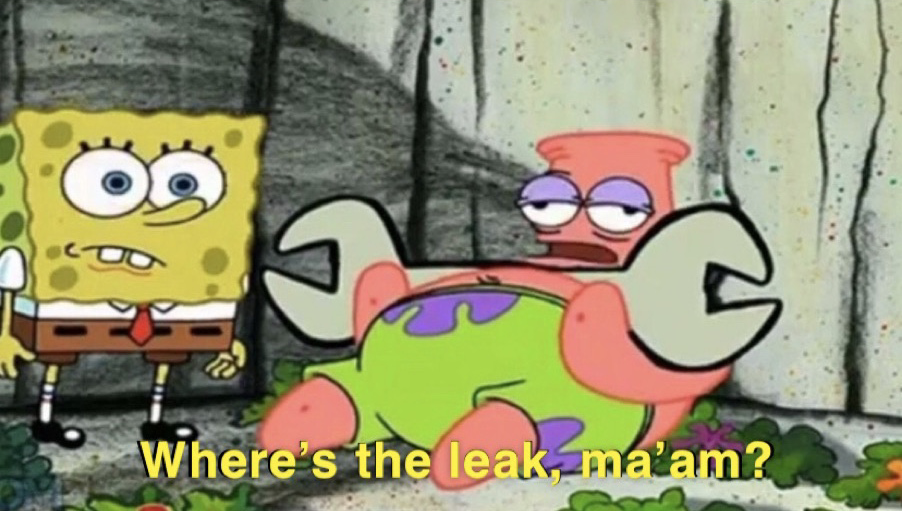 Patrick Where's the leak, ma'am? Blank Meme Template