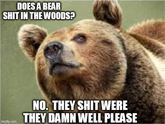 Smug Bear Meme | DOES A BEAR SHIT IN THE WOODS? NO.  THEY SHIT WERE THEY DAMN WELL PLEASE | image tagged in memes,smug bear | made w/ Imgflip meme maker