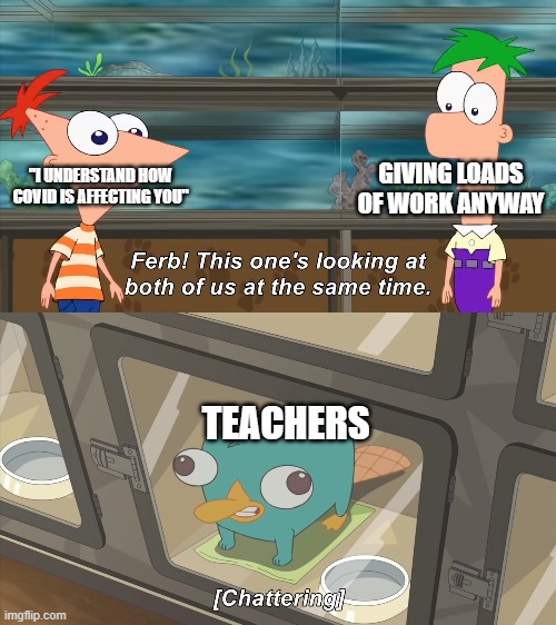 phineas and ferb | GIVING LOADS OF WORK ANYWAY; "I UNDERSTAND HOW COVID IS AFFECTING YOU"; TEACHERS | image tagged in phineas and ferb | made w/ Imgflip meme maker