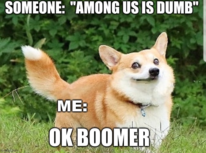 OK BOOMER | SOMEONE:  "AMONG US IS DUMB"; ME:; OK BOOMER | image tagged in ok boomer corgi | made w/ Imgflip meme maker