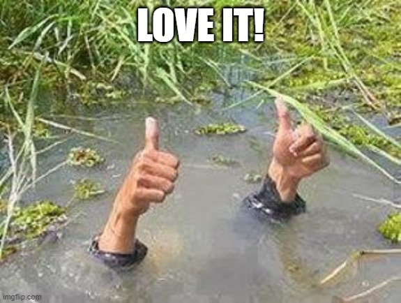 FLOODING THUMBS UP | LOVE IT! | image tagged in flooding thumbs up | made w/ Imgflip meme maker