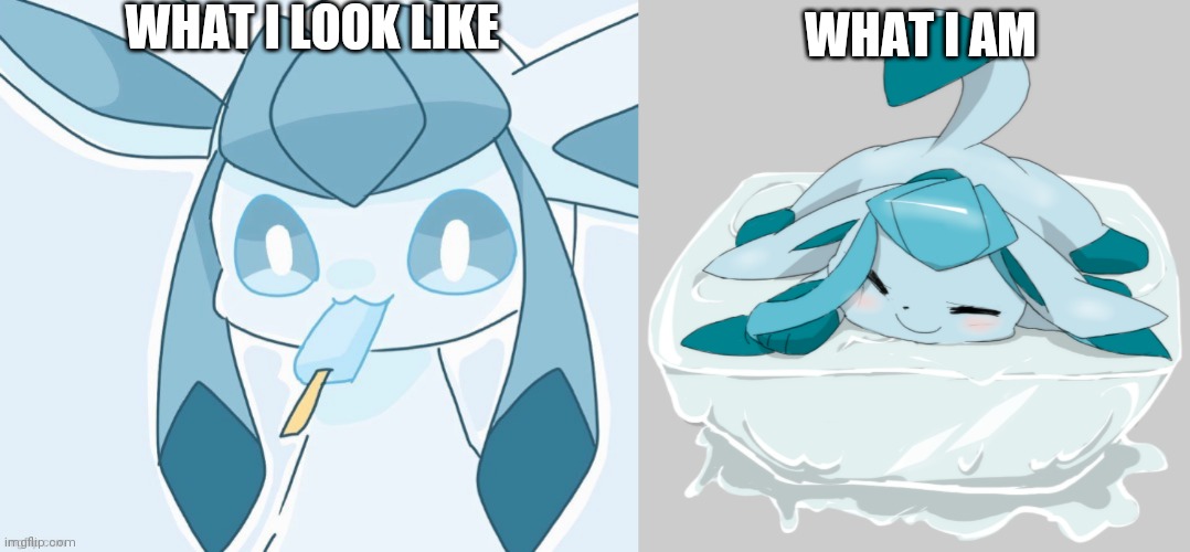 WHAT I LOOK LIKE; WHAT I AM | image tagged in glaceon vibing,glaceon ice cube | made w/ Imgflip meme maker