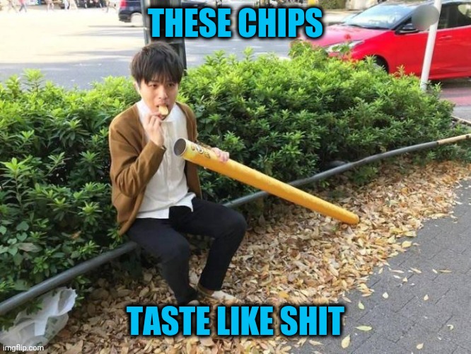 THESE CHIPS; TASTE LIKE SHIT | made w/ Imgflip meme maker