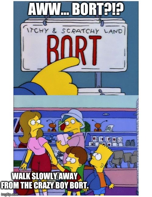 bort | AWW... BORT?!? WALK SLOWLY AWAY FROM THE CRAZY BOY BORT. | image tagged in bort license plate | made w/ Imgflip meme maker
