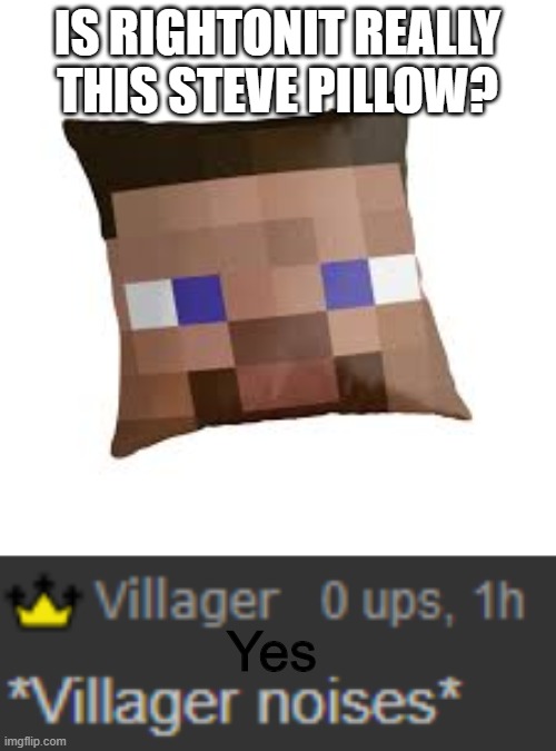IS RIGHTONIT REALLY THIS STEVE PILLOW? Yes | made w/ Imgflip meme maker